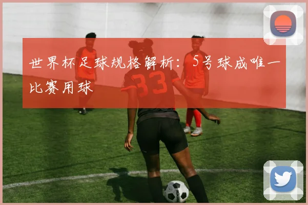世界杯足球规格解析：5号球成唯一比赛用球