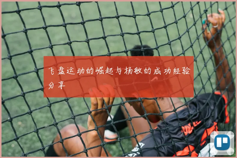 飞盘运动的崛起与杨敏的成功经验分享