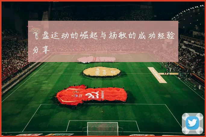 飞盘运动的崛起与杨敏的成功经验分享